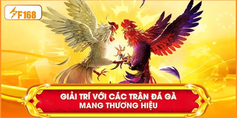 Giải trí với các trận đá gà mang thương hiệu