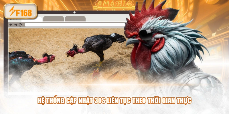 Hệ thống cập nhật 30s liên tục theo thời gian thực